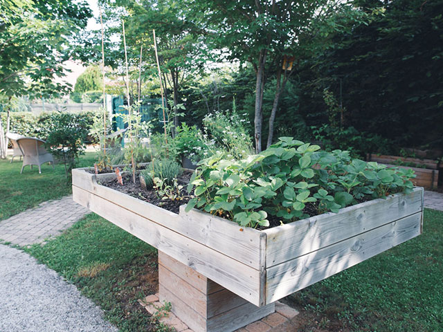 Le jardin thérapeutique